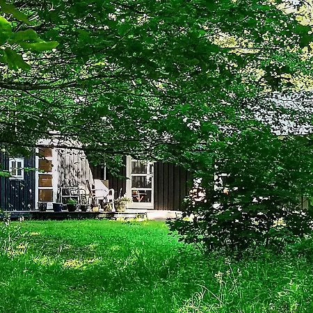 Holiday Xv Silkeborg